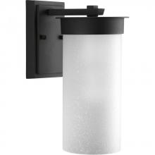 Progress P5625-31 - Hawthorne Collection One-Light Medium Wall Lantern